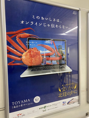 鉄道 北陸新幹線 カニ 観光 冬