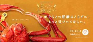 鉄道 北陸新幹線 カニ 観光 冬