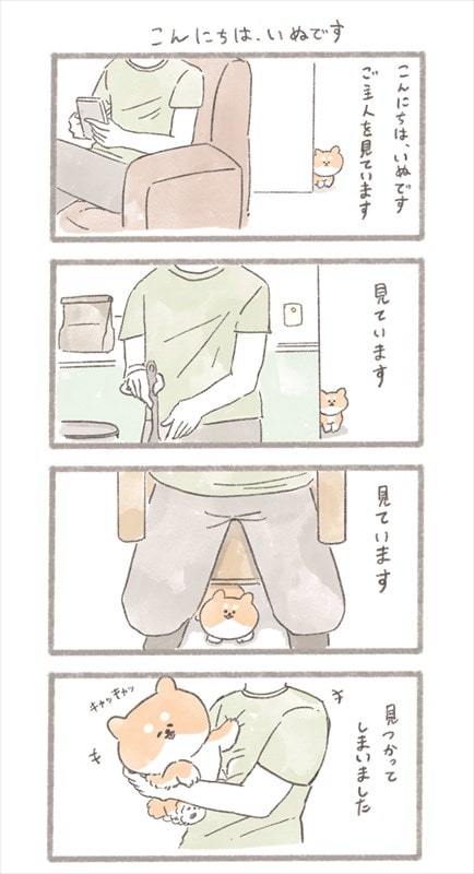 「こんにちは、いぬです」の単行本発売