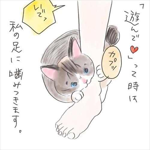 突然かみつく猫ちゃん