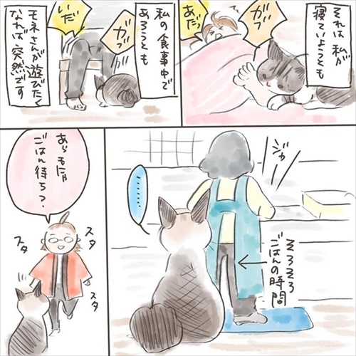 突然かみつく猫ちゃん