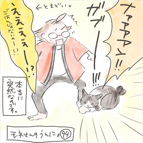 突然かみつく猫ちゃん
