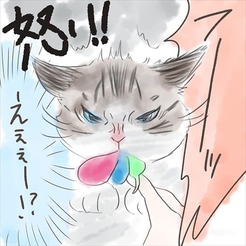 突然かみつく猫ちゃん