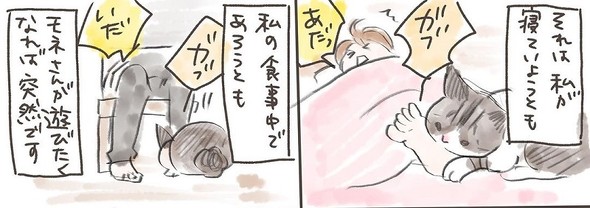 突然かみつく猫ちゃん