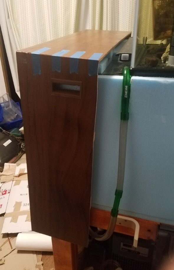 ブラウン管 水槽 生放送 伊勢海老 アワビ