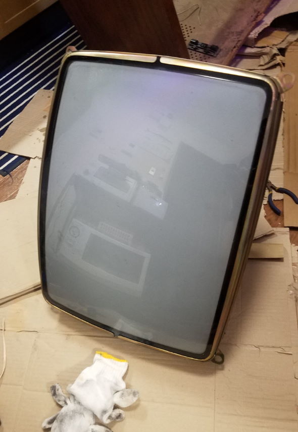 ブラウン管 水槽 生放送 伊勢海老 アワビ