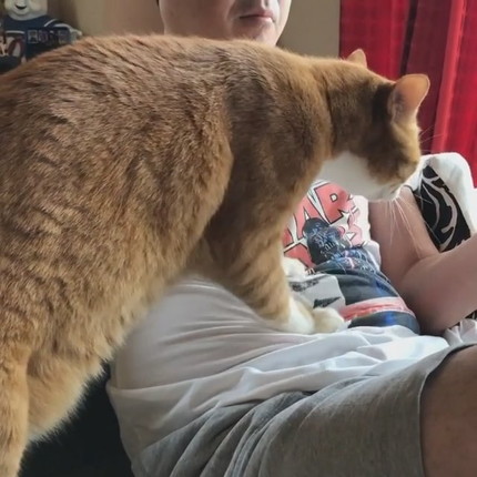 揉師キムチくん