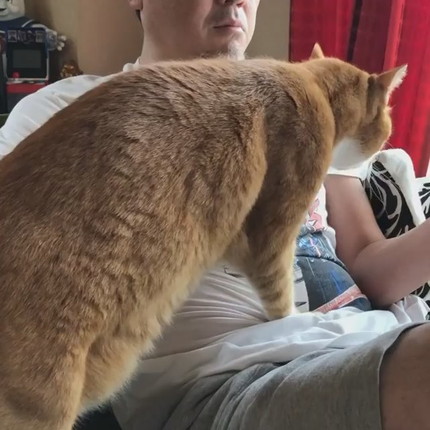 揉師キムチくん