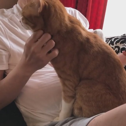 揉師キムチくん