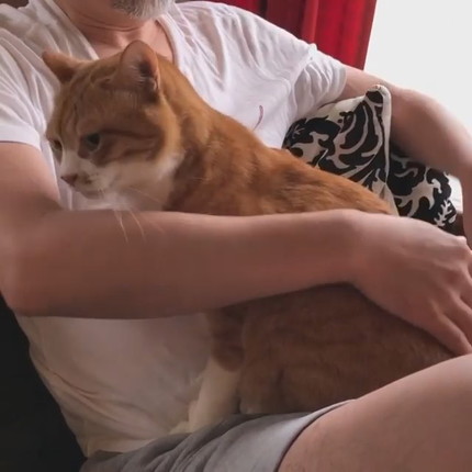 揉師キムチくん