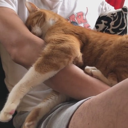 揉師キムチくん