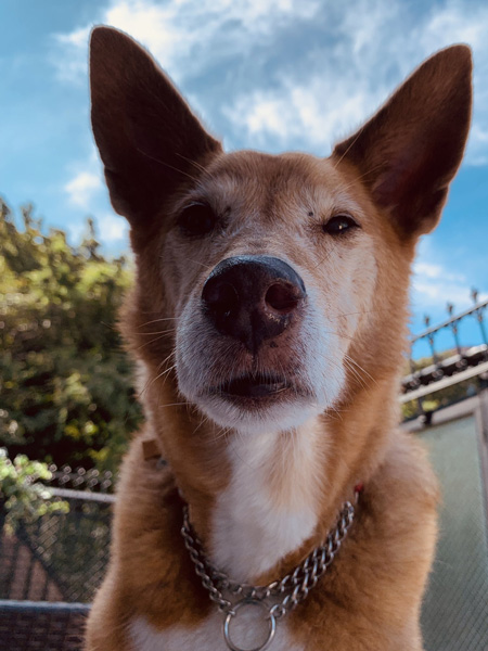 パンをもらえないことに気づいたお顔