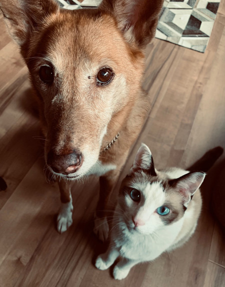 待てをするミヤハクさん