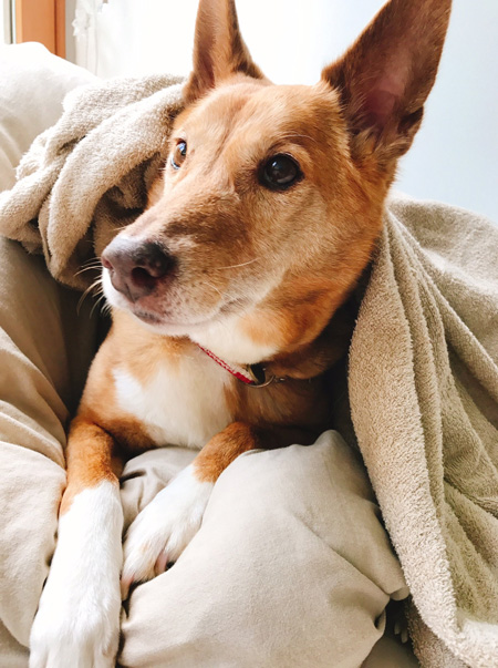 毛布を背中にかけた宮田さん