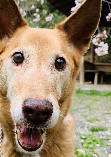 笑顔の宮田さん