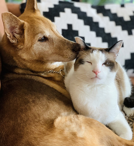 片目を瞑る白州さん