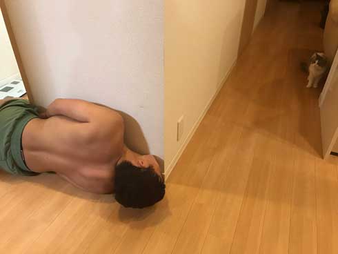 困らせたい 旦那 困る猫 顔 遊び 飼い主 目だけ