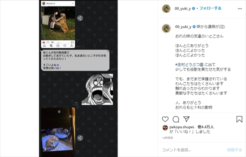山田裕貴 保護犬 天才！志村どうぶつ園 愛犬 インスタ 妹 里親