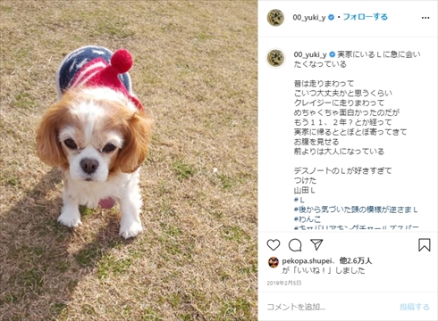 山田裕貴 保護犬 天才！志村どうぶつ園 愛犬 インスタ 妹 里親
