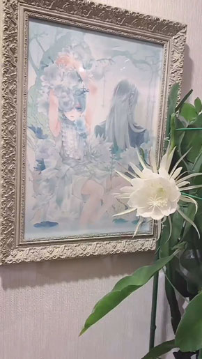 黒執事 ファン 触発 月下美人 咲かせる タイムラプス 真夜中のお茶会