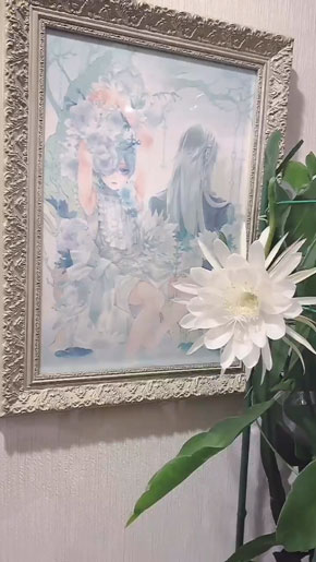 黒執事 ファン 触発 月下美人 咲かせる タイムラプス 真夜中のお茶会