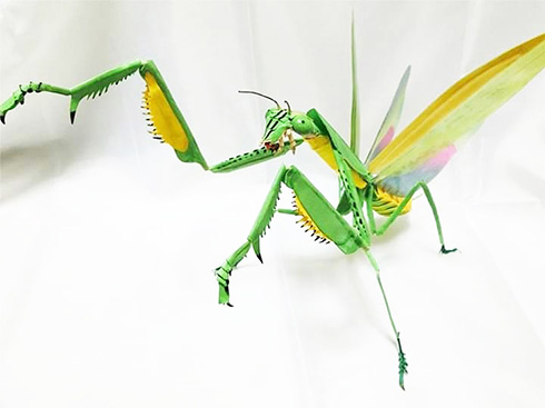 元気に動いていそうな紙の生き物　昆虫や水生生物の躍動感がすごい
