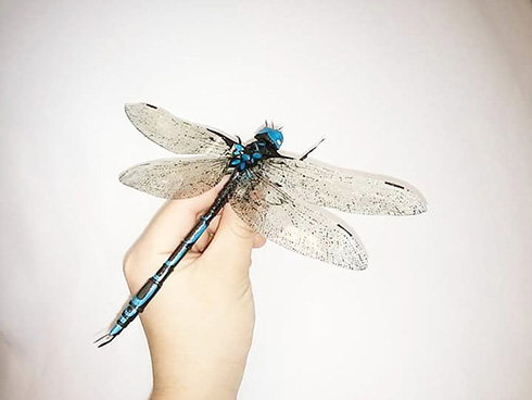 元気に動いていそうな紙の生き物　昆虫や水生生物の躍動感がすごい