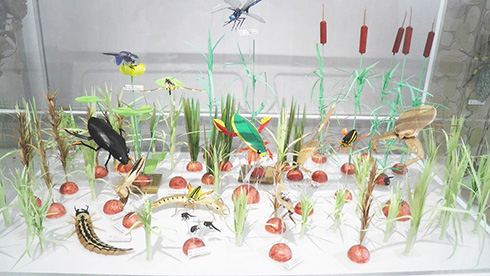 元気に動いていそうな紙の生き物　昆虫や水生生物の躍動感がすごい