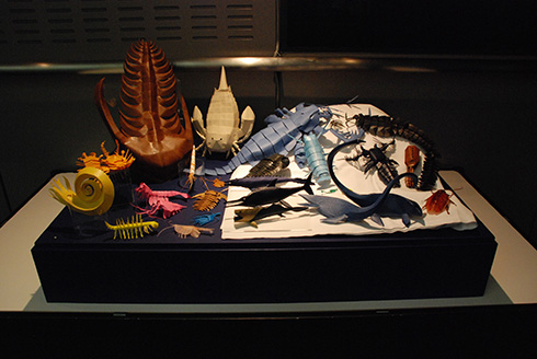 元気に動いていそうな紙の生き物　昆虫や水生生物の躍動感がすごい