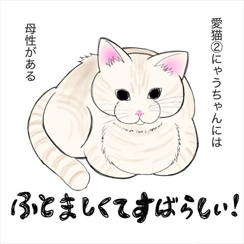 猫漫画