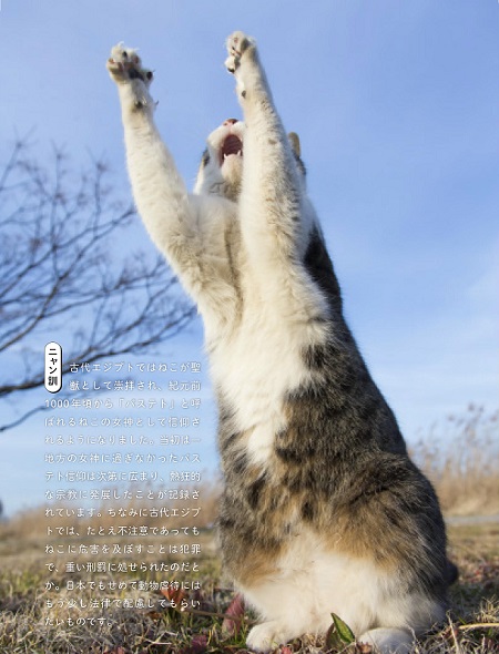 ニャン生訓