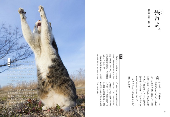 ニャン生訓