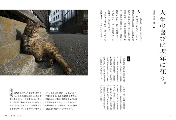 ニャン生訓