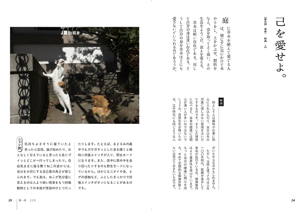 ニャン生訓