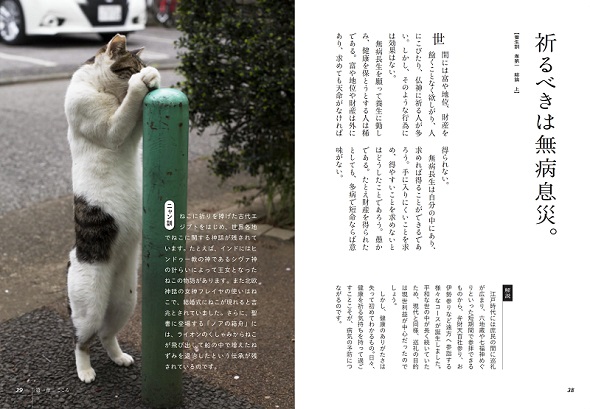 ニャン生訓