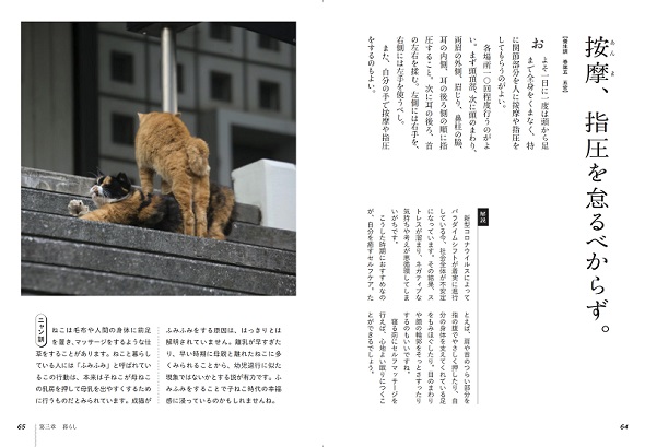 ニャン生訓