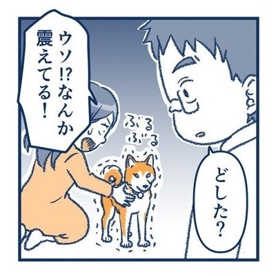 犬の喜びバイブレーション
