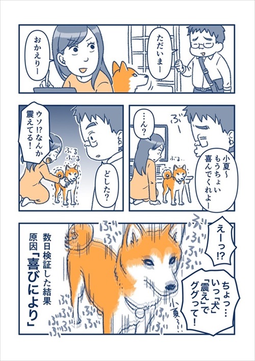 犬の喜びバイブレーション