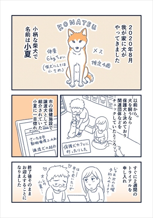 犬の喜びバイブレーション