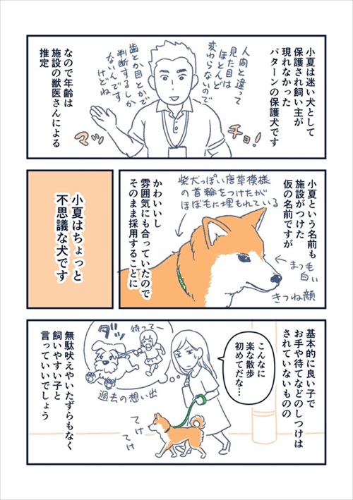 犬の喜びバイブレーション