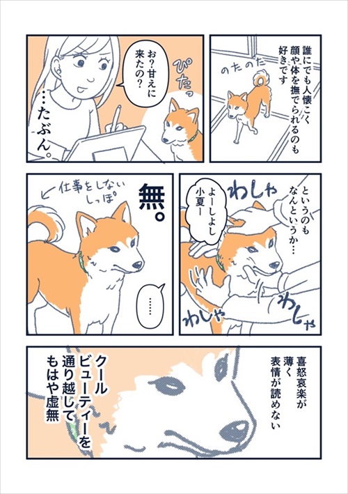 犬の喜びバイブレーション
