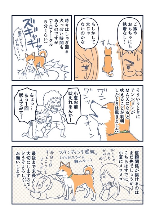犬の喜びバイブレーション