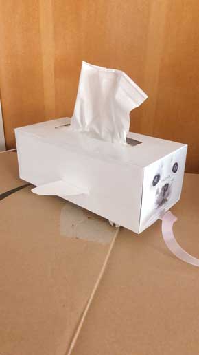 あざらし 飼いたい夢 娘 工作 手作り アイデア 鼻セレブ