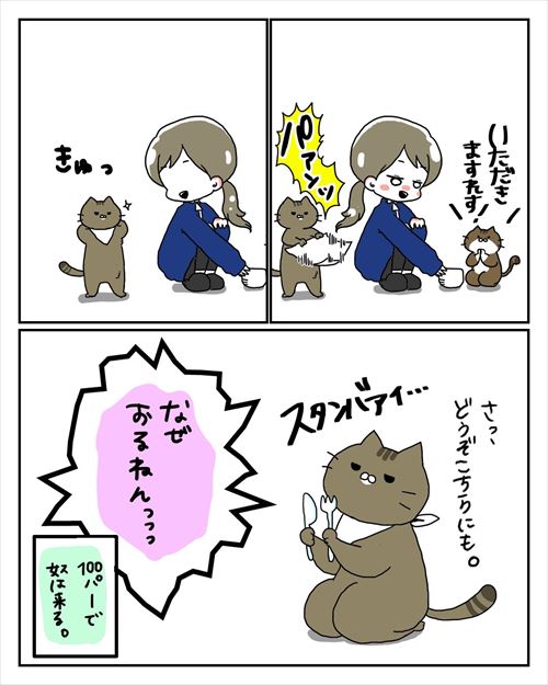 猫