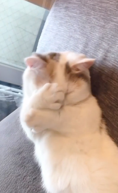 ぎゅ
