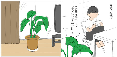 あつ森 どうぶつの森 現実 生活 変わった 観葉植物 鉢 エッセイ 漫画