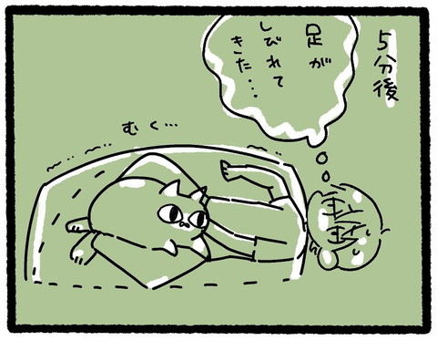 お布団でネコちゃんと一緒