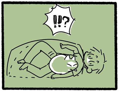 お布団でネコちゃんと一緒