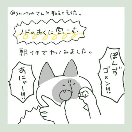 「ぽんずVSお薬」