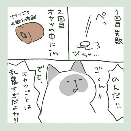 「ぽんずVSお薬」